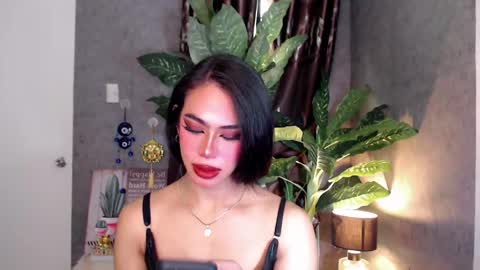 xam online show from 12.11.24
