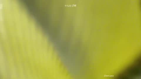 seduce_me_oldman online show from 03.09.26