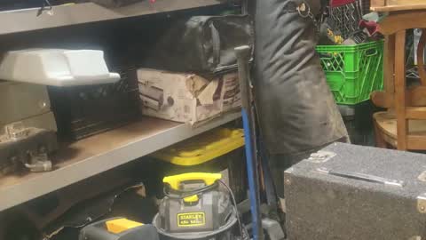 Seeker online show from 01.01.25