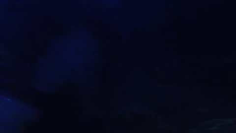 Seeker online show from 05.11.26