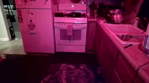 Sekriyu online show from 03.28.26