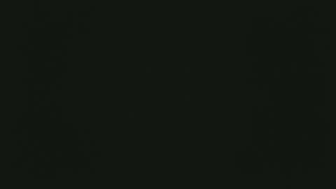 Snapshot of selfpound chatting on 12.15.25 selfpound online show from 12.15.25