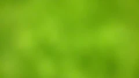 Snapshot of sens3439 chatting on 11.24.25 sens3439 online show from 11.24.25