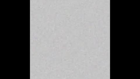 ROSE online show from 12.20.24