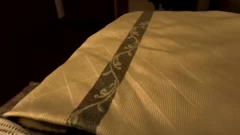 Snapshot of sevenorder chatting on 01.21.25 sevenorder online show from 01.21.25