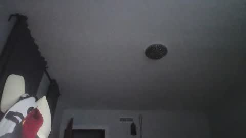 sexbrute online show from 05.17.26