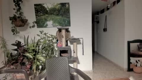         online show from 04.21.26