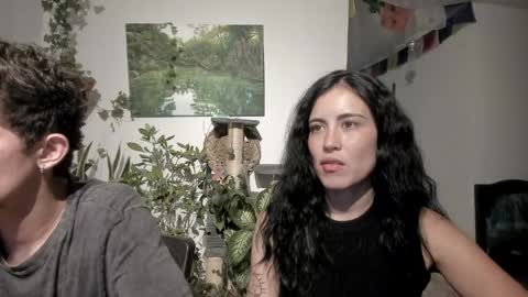         online show from 05.11.26