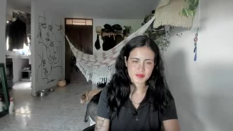         online show from 05.12.26