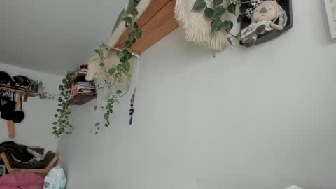         online show from 06.06.26