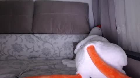 See you on October  going to miss you guys incredibly. Subscribe to my  Onlyfans  Channel to follow the news online show from 10.01.25