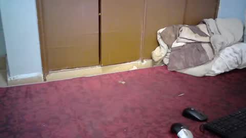 sexy_lunah online show from 12.19.24