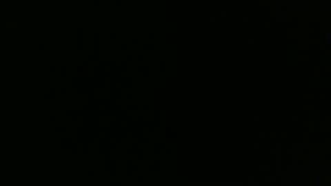 sexy_string online show from 01.19.25