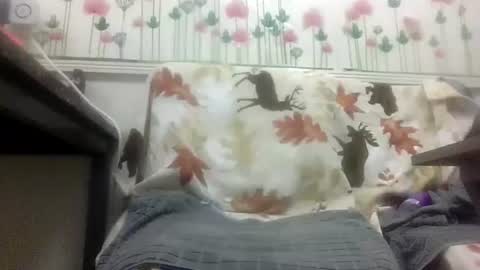 Daddy online show from 02.04.26