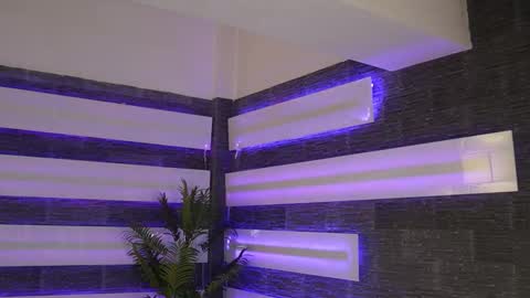 Celline online show from 02.22.26