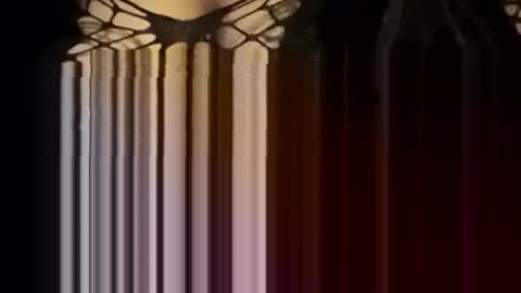 Snapshot of sexycplluv chatting on 01.12.26 Forever Erotica online show from 01.12.26