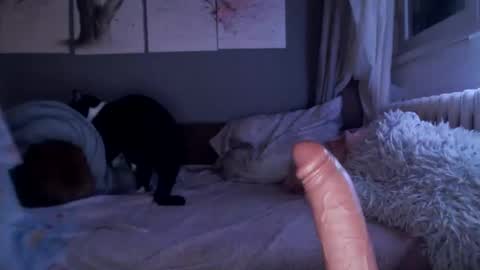 Snapshot of sexyella25 chatting on 02.21.25     .... ............ Onlyfans   online show from 02.21.25