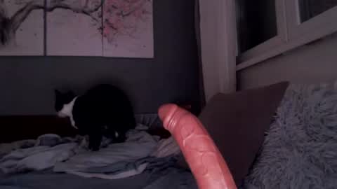 Snapshot of sexyella25 chatting on 07.13.26 .... ............ Onlyfans online show from 07.13.26