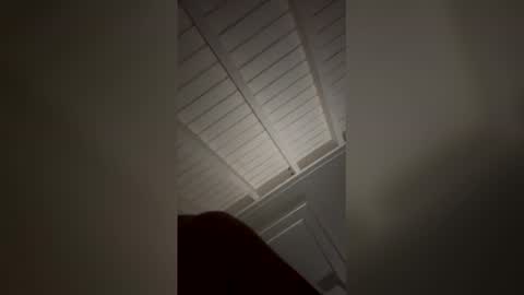 sexyfunpartners online show from 03.29.26