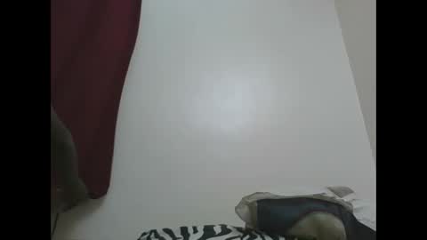 Snapshot of sexyhotgal23 chatting on 01.06.25 REBECCAH online show from 01.06.25