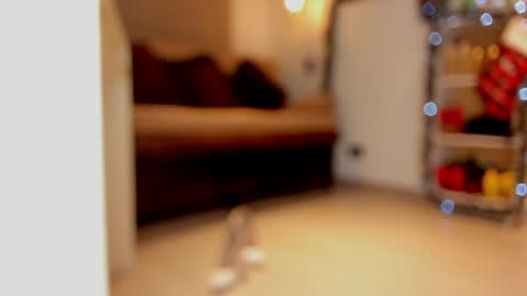 katalina larson online show from 12.29.24