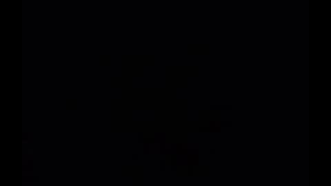 In the night in South America online show from 12.24.24