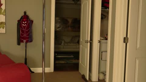 Snapshot of sexystackie chatting on 02.11.26 Princess Jackie and Daddy Steve online show from 02.11.26