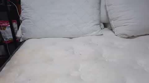 Snapshot of sexystephanie04 chatting on 04.13.26 sexystephanie04 online show from 04.13.26