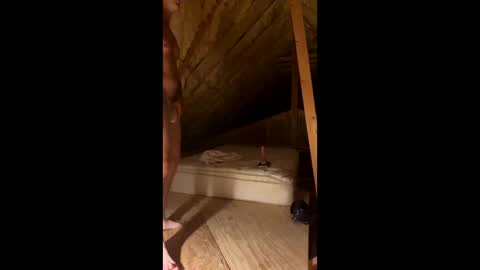 Snapshot of sexytsmstars chatting on 03.07.26 Smooth bi guy online show from 03.07.26