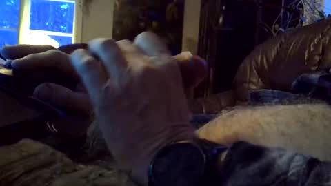 Snapshot of sgthard260486 chatting on 02.09.26 sgthard260486 online show from 02.09.26