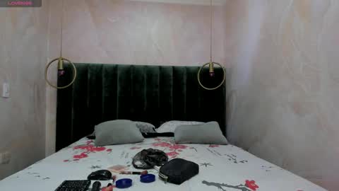 Snapshot of shagiamir chatting on 10.01.25 Shagi online show from 10.01.25