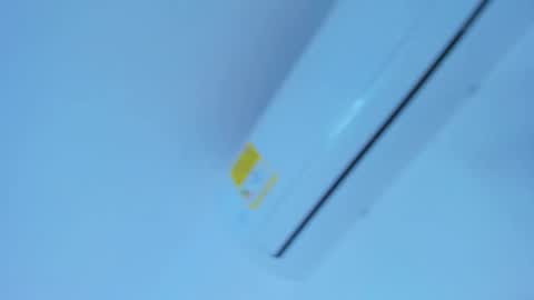 Shantal online show from 12.22.25