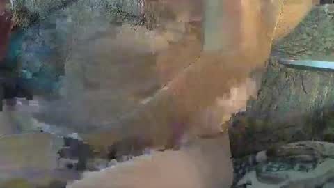 Snapshot of sharkey644 chatting on 11.11.25 Sharkey644 online show from 11.11.25