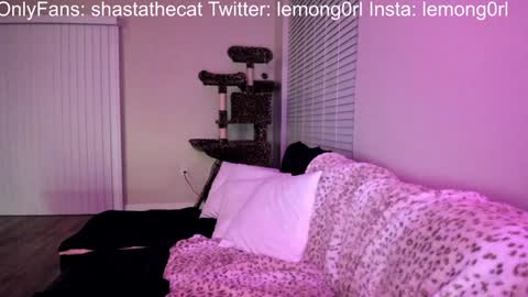 Shasta online show from 12.15.24
