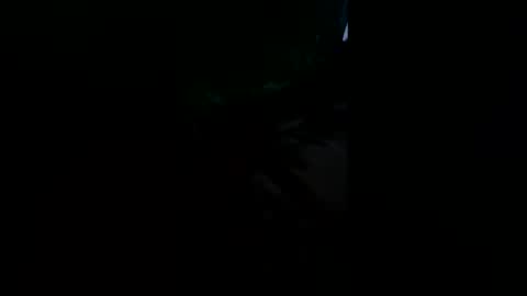 shaunhosking3 online show from 02.09.26