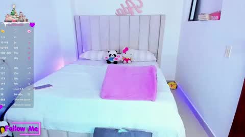 Snapshot of sheirysex chatting on 01.03.25 Danna online show from 01.03.25