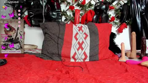 Snapshot of shengyi_blue chatting on 12.17.24 anyela7773 online show from 12.17.24