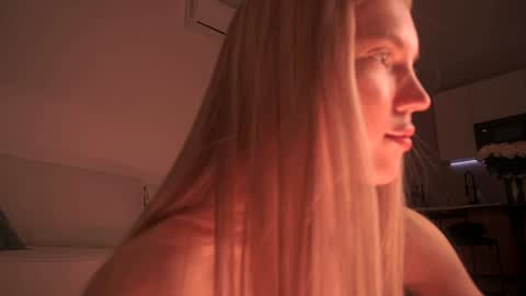 Snapshot of shiningstarrr chatting on 01.20.25 Nika online show from 01.20.25