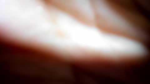 Snapshot of shty_nympho chatting on 12.02.24 shty_nympho online show from 12.02.24