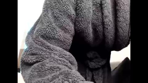 Sheril  online show from 03.06.26