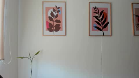 Snapshot of shylittlebunny chatting on 02.11.26 shylittlebunny online show from 02.11.26