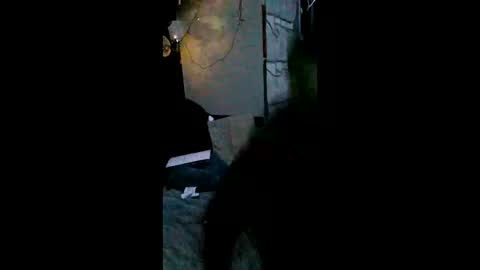 Snapshot of shylom chatting on 02.15.26 shylom online show from 02.15.26