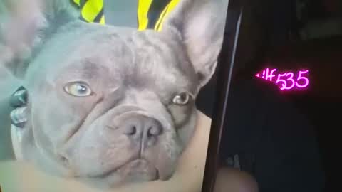 RBXs Princess online show from 02.27.26