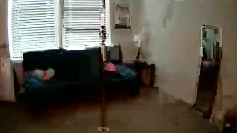 shypetitebaby online show from 05.01.26