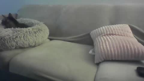 Lady Sif online show from 02.16.26