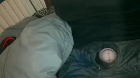 Snapshot of silentstiffler chatting on 11.30.25 silentstiffler online show from 11.30.25