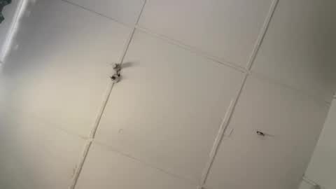 silkyandmasterr online show from 03.08.26