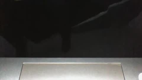 Silverhawk06 online show from 12.23.25