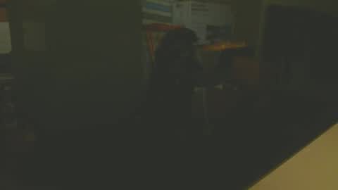 silvin76 online show from 01.06.25