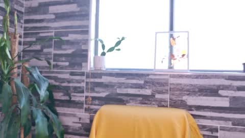 Sim. online show from 03.08.25